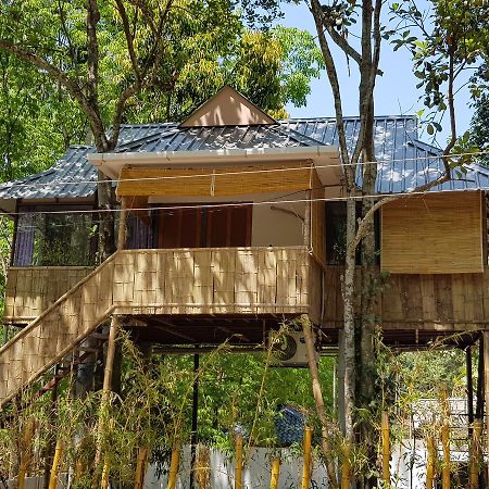 Ponmudi Valley Resorts Экстерьер фото