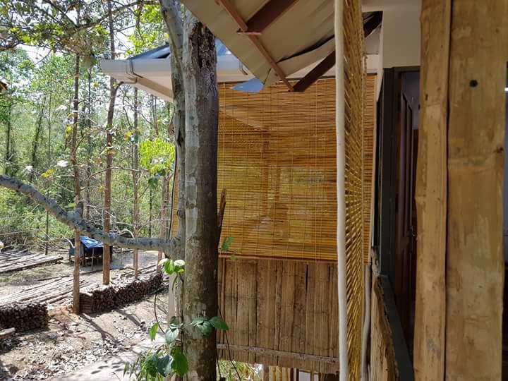 Ponmudi Valley Resorts Экстерьер фото