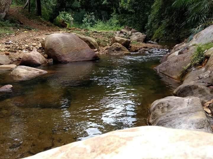 Ponmudi Valley Resorts Экстерьер фото