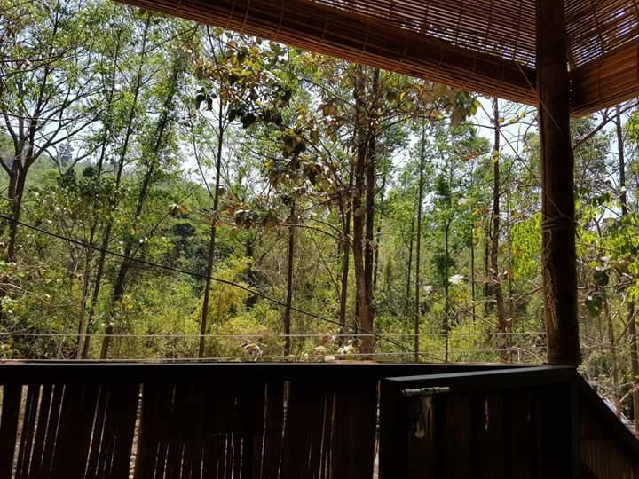 Ponmudi Valley Resorts Экстерьер фото