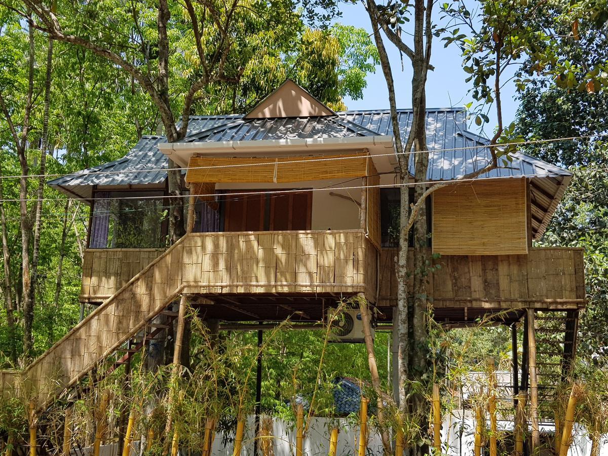 Ponmudi Valley Resorts Экстерьер фото